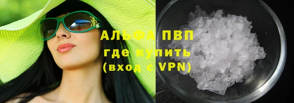 гашик Арсеньев