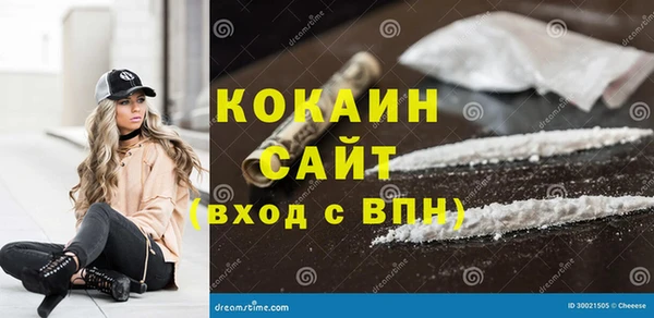 гашик Арсеньев