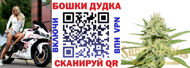 Бошки Шишки SATIVA & INDICA  kraken ссылки  Среднеколымск 